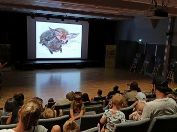 Noc nietoperzy w Zapolicach, 